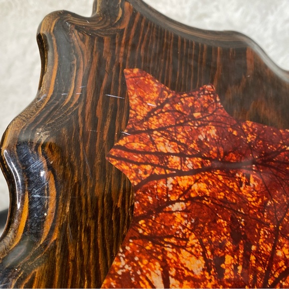 Vintage 70’s Groovy Wood Lacquered Woods Forrest Image Wall Hanging Plaque - Picture 3 of 11